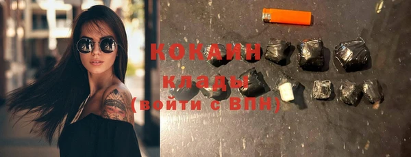 гашик Арсеньев
