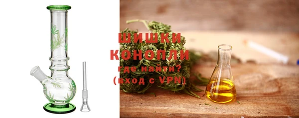 сатива Балахна