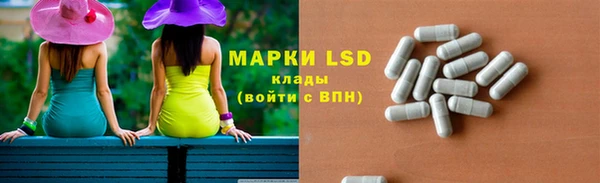 гашик Арсеньев