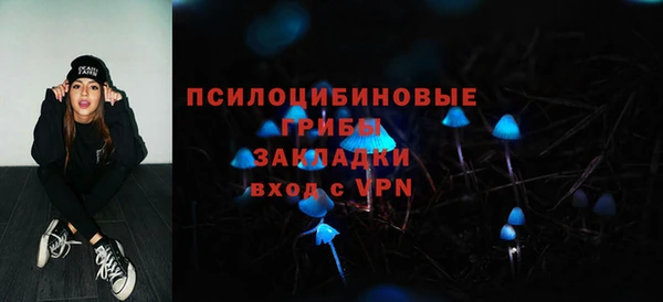 apvp Армянск