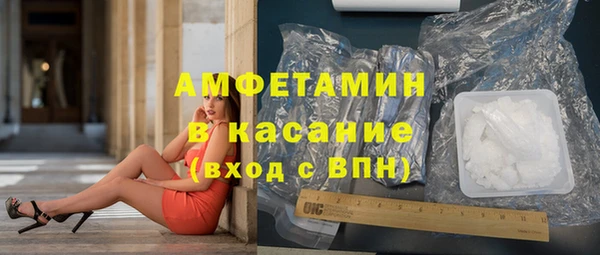 сатива Балахна