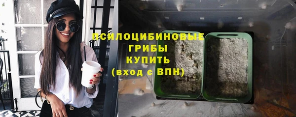 гашик Арсеньев