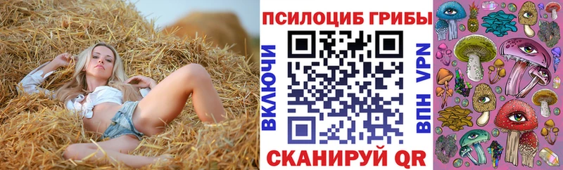 Псилоцибиновые грибы ЛСД  цены наркотик  Макушино 